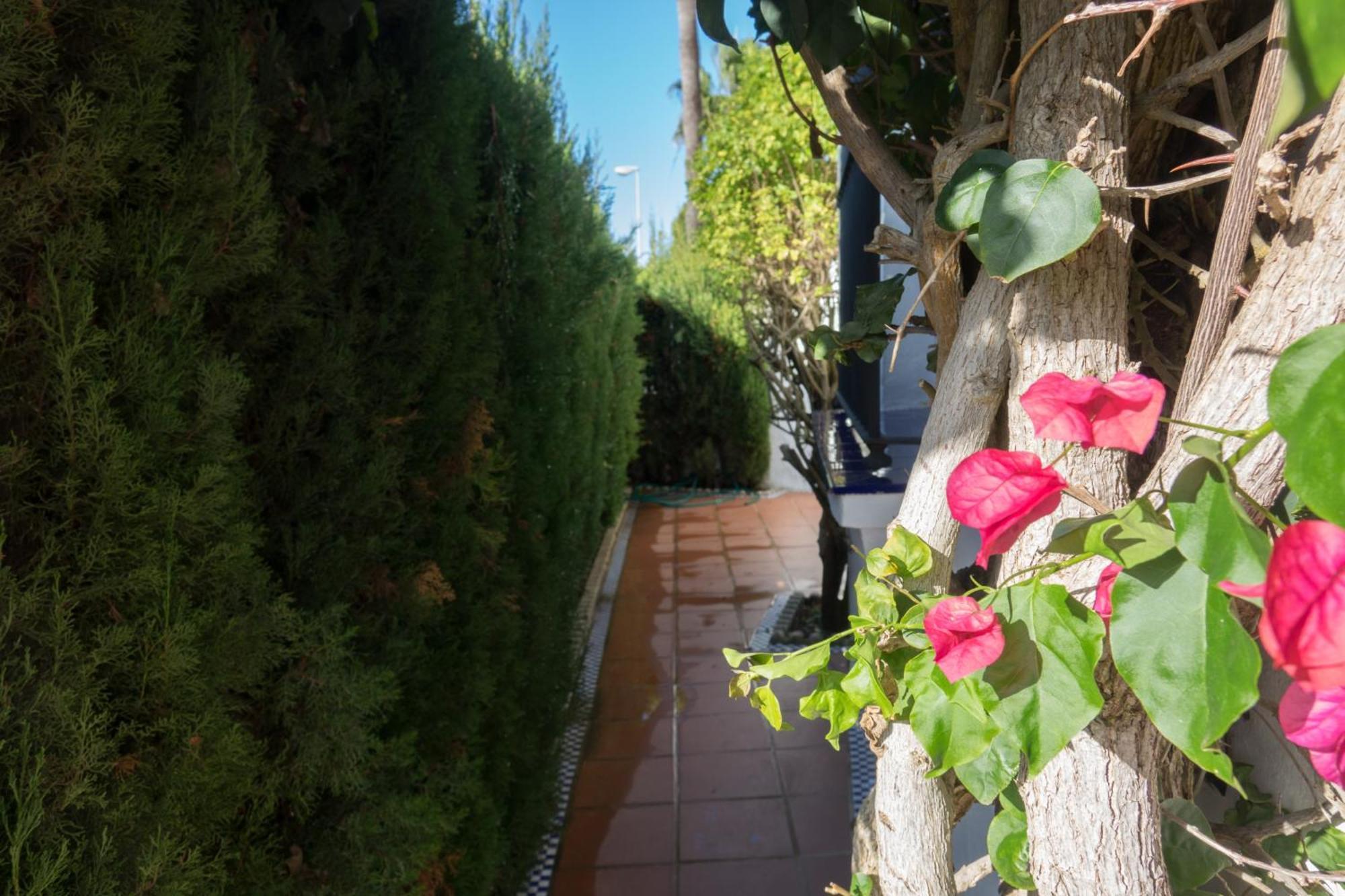 Apartamento Alextia La Barrosa Чиклана-де-ла-Фронтера Экстерьер фото